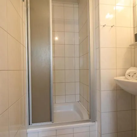 Almliesl Zell-041 Zell am See